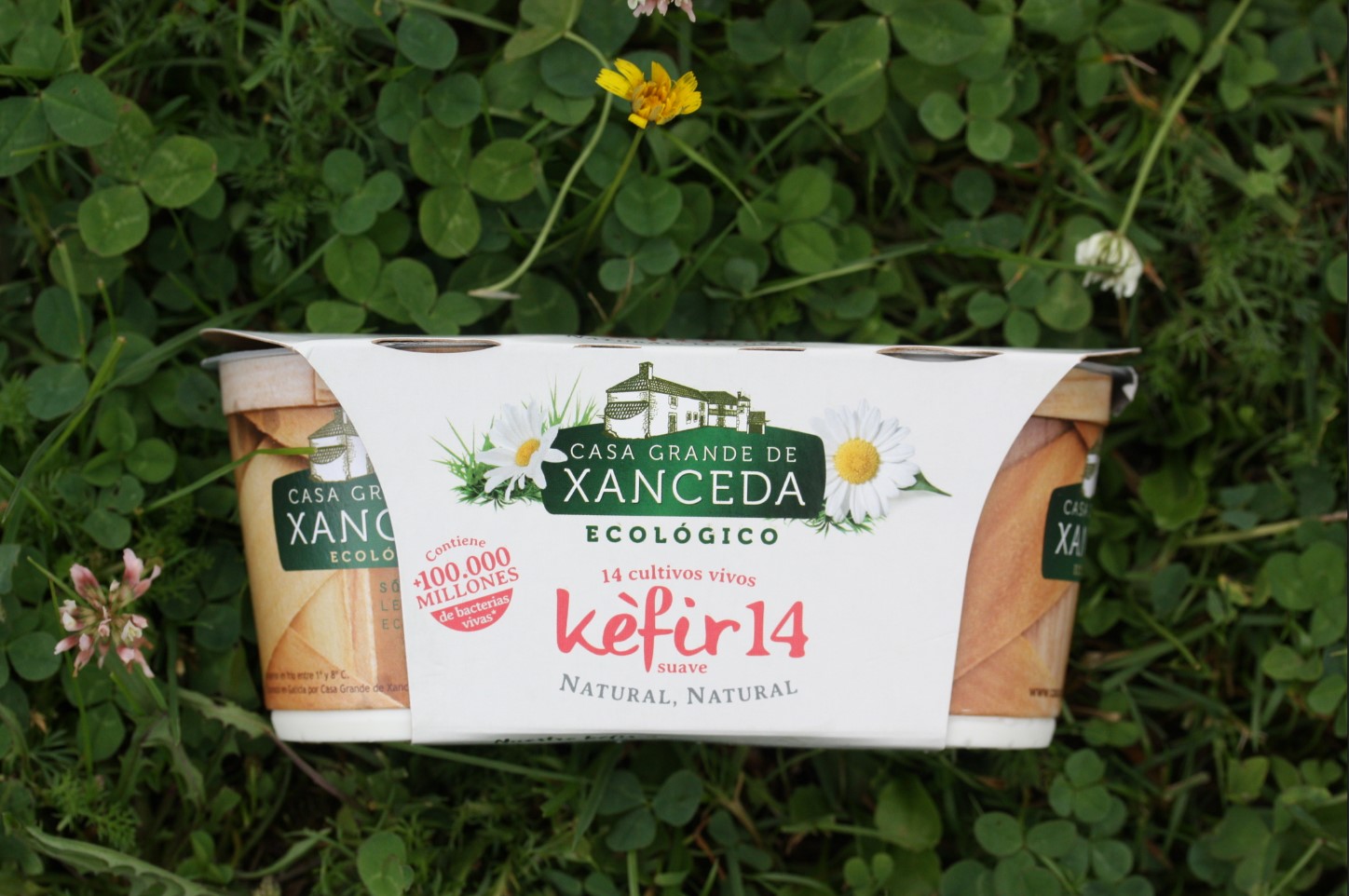 Kéfir ecológico natural